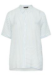 EVANS Curve Blue & White Stripe Shirt | Evans 6