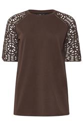 LTS Tall Chocolate Brown Crochet Raglan Cotton T-Shirt