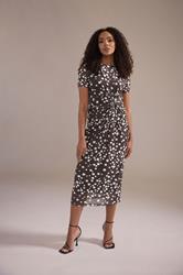 M&Co Brown Polka Dot Twist Front Mesh Maxi Dress | M&Co 3