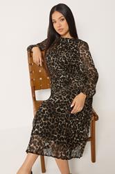 M&Co Petite Brown Leopard Print Pleated Chiffon Midi Dress | M&Co 1