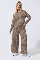 LIMITED COLLECTION Plus Size Chocolate Brown & Cream Stripe Top | Yours Clothing 1