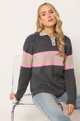LTS Tall Women's Grey Stripe Knitted Polo Jumper | Long Tall Sally 3