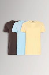 LTS Tall 3 PACK Chocolate Brown & Light Blue Cotton V-Neck T-Shirts