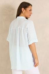 EVANS Curve Blue & White Stripe Shirt | Evans 2