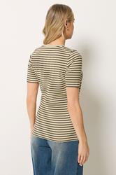 LTS Tall Women's Chocolate Brown Stripe Cotton Ribbed T-Shirt | Long Tall Sally 2