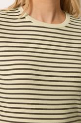 LTS Tall Women's Chocolate Brown Stripe Cotton Ribbed T-Shirt | Long Tall Sally 4