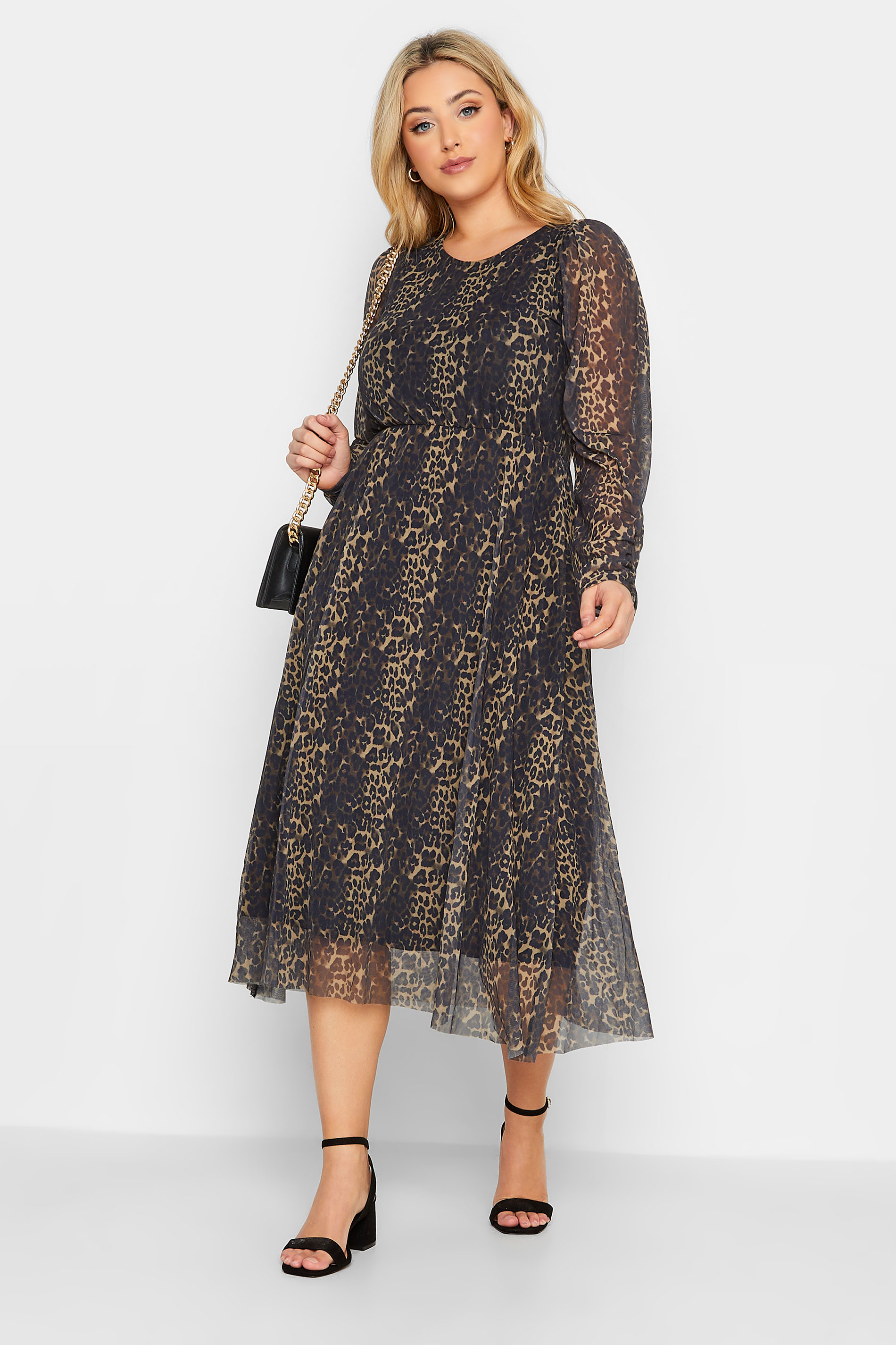 Curve Leopard Print Mesh Dress | Yours Clothing 2