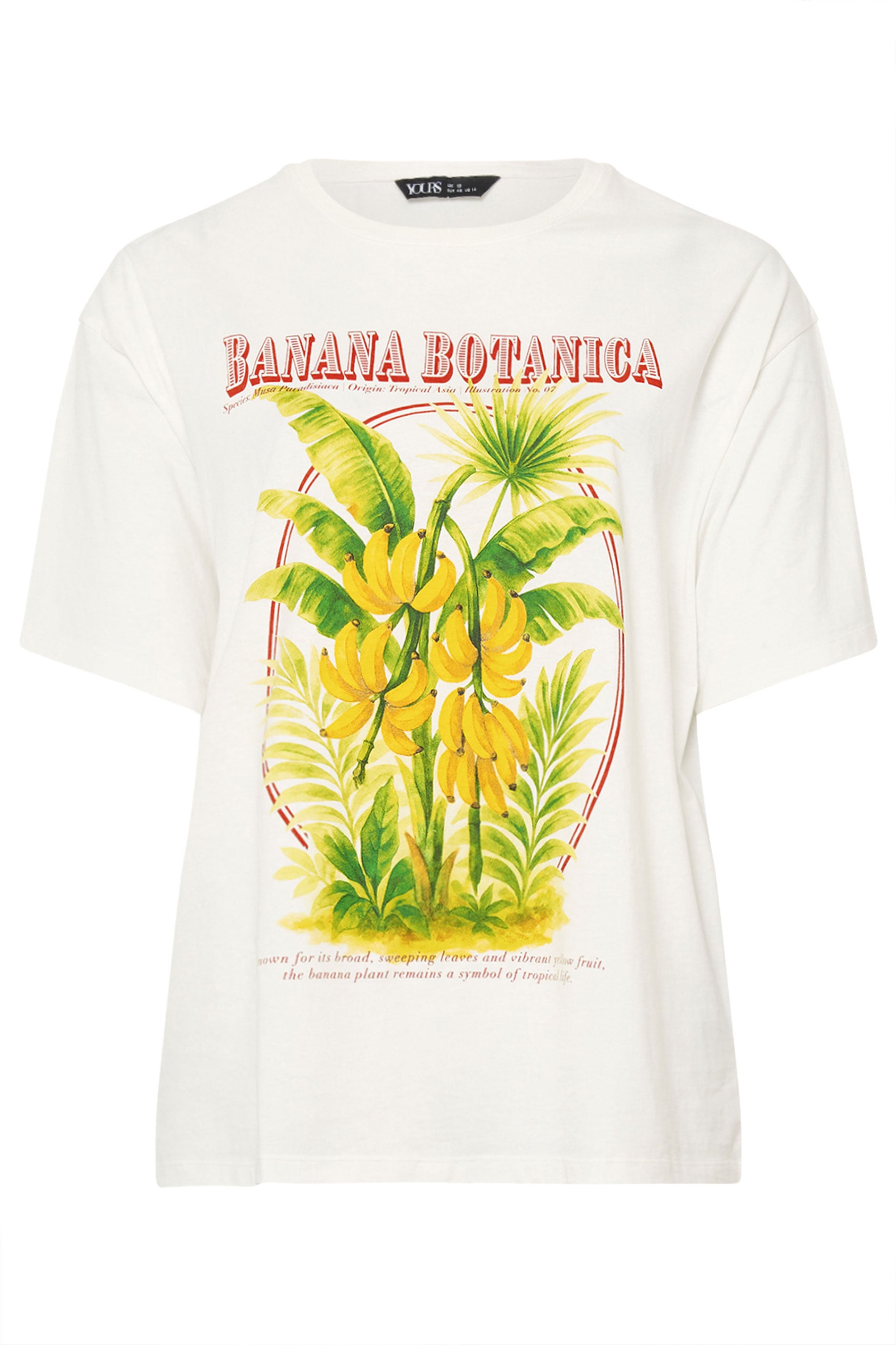 YOURS Plus Size White Banana Graphic Boxy T-Shirt | Yours Clothing 5