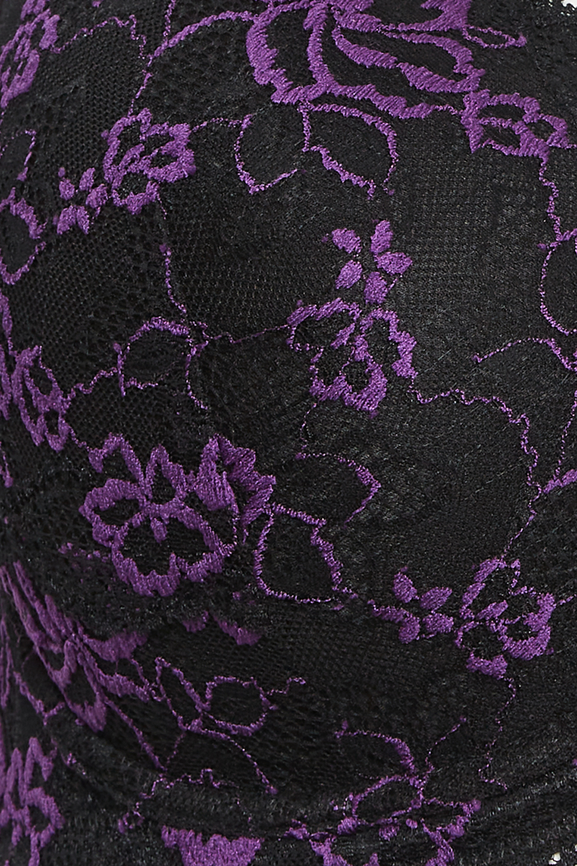 Purple Bra Black Lace Image & Photo (Free Trial)