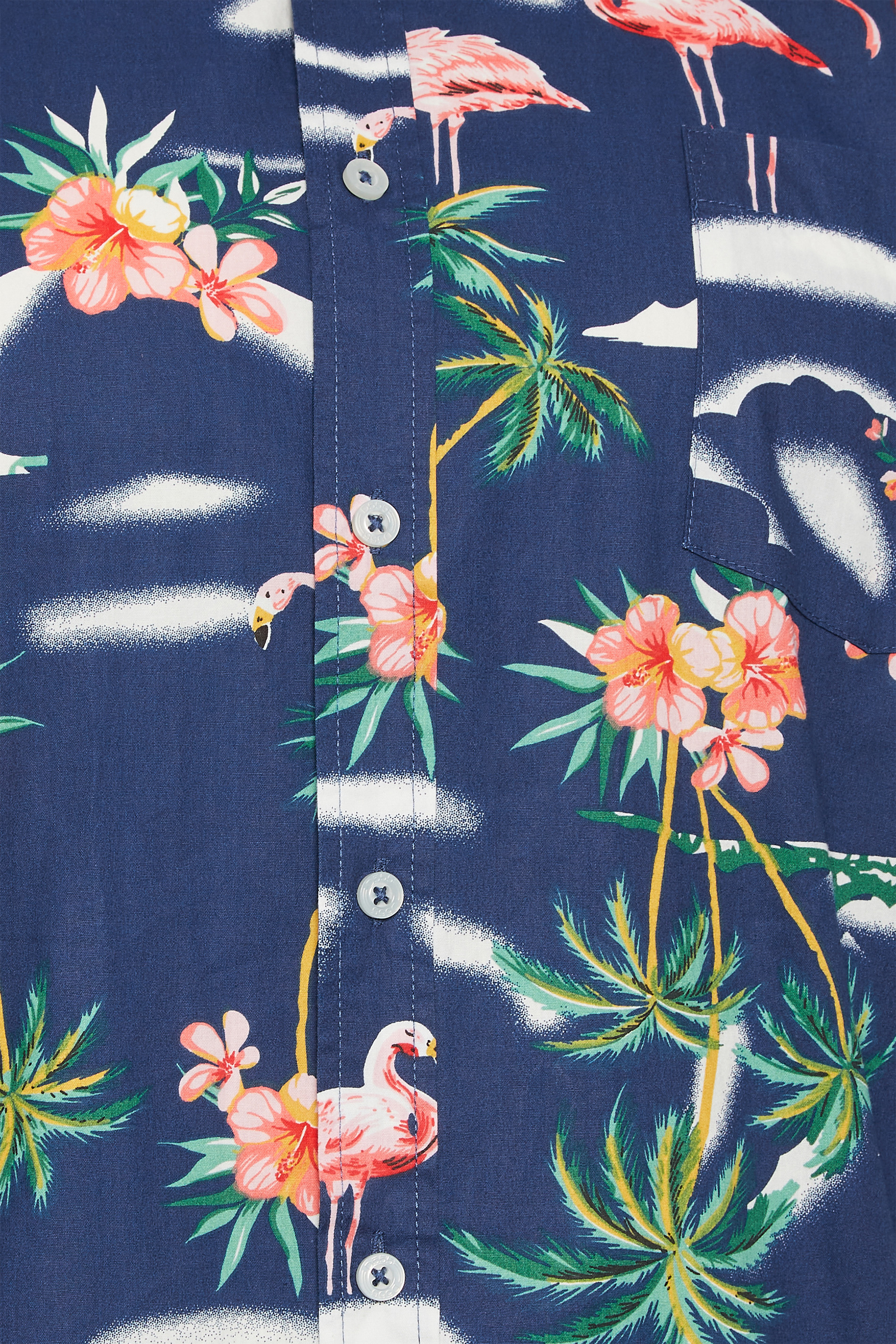 D555 Big & Tall Blue Flamingo Hawaiian Print Shirt | BadRhino 2