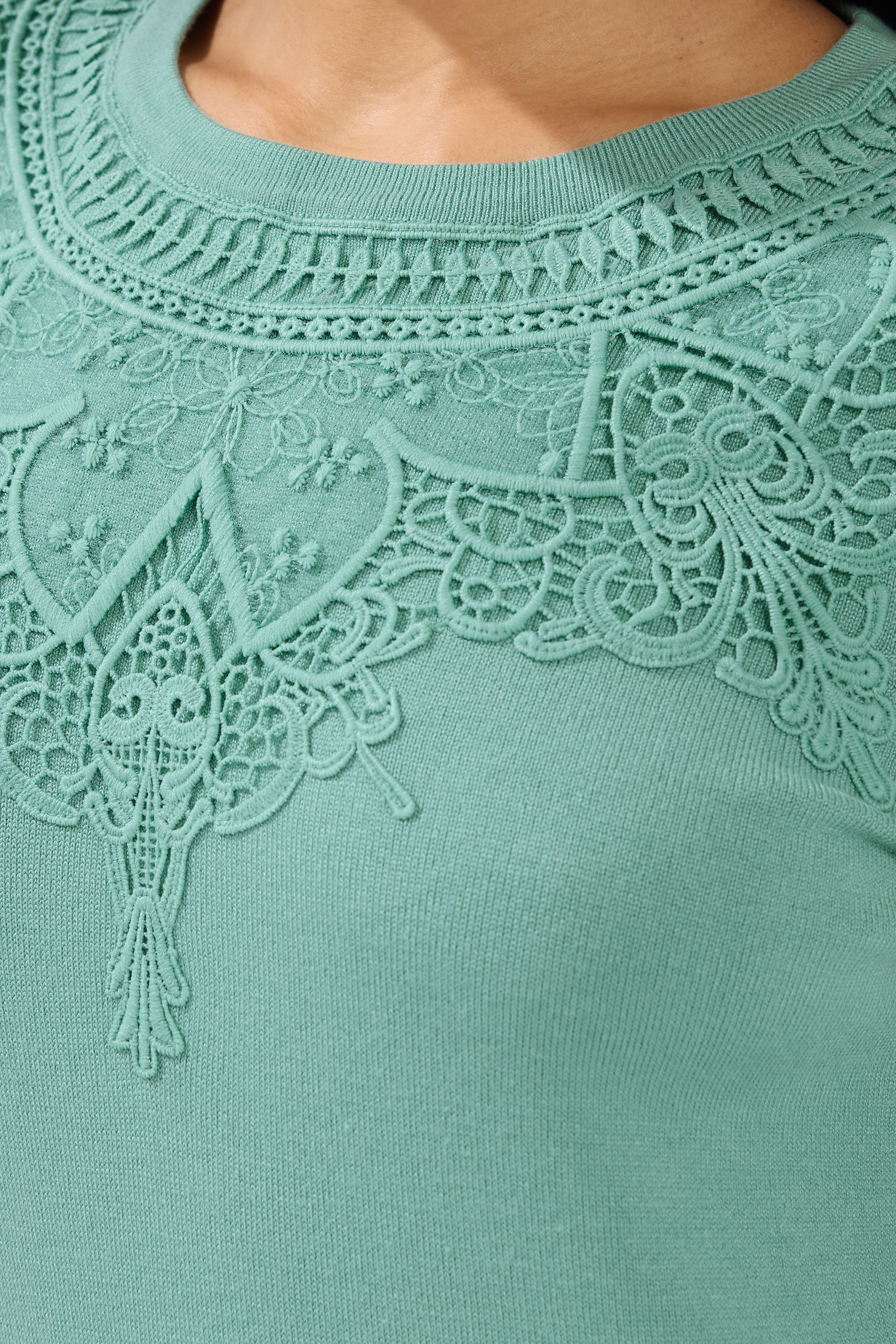 M&Co Petite Green Lace Trim Jumper | M&Co 4