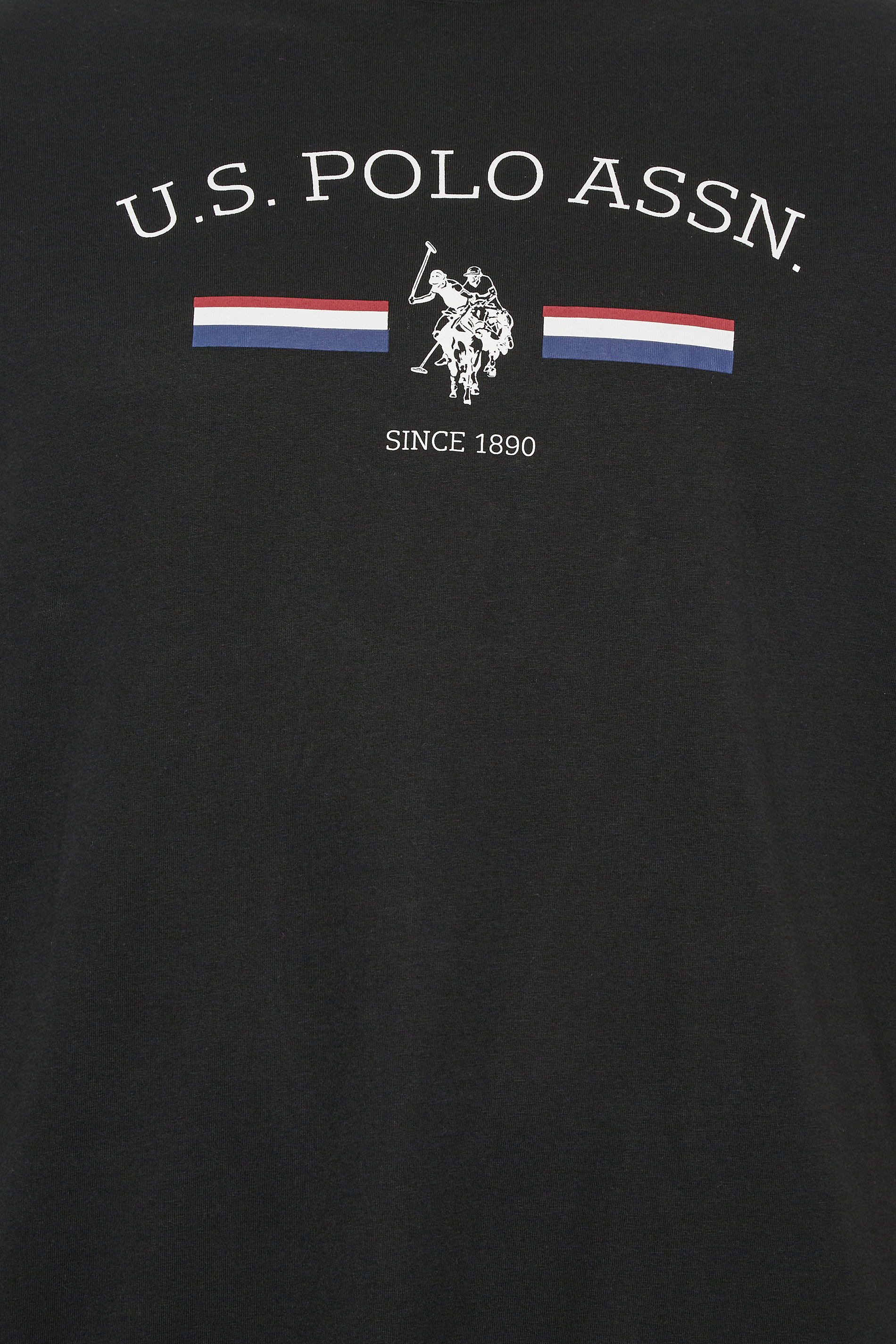 U.S. POLO ASSN. Big & Tall Black Rider T-Shirt | BadRhino  2