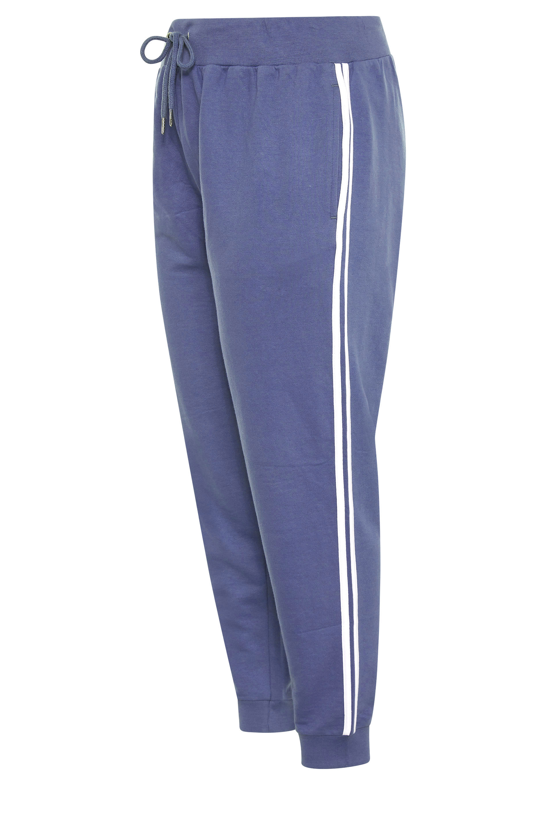 Plus Size Blue Side Stripe Joggers 