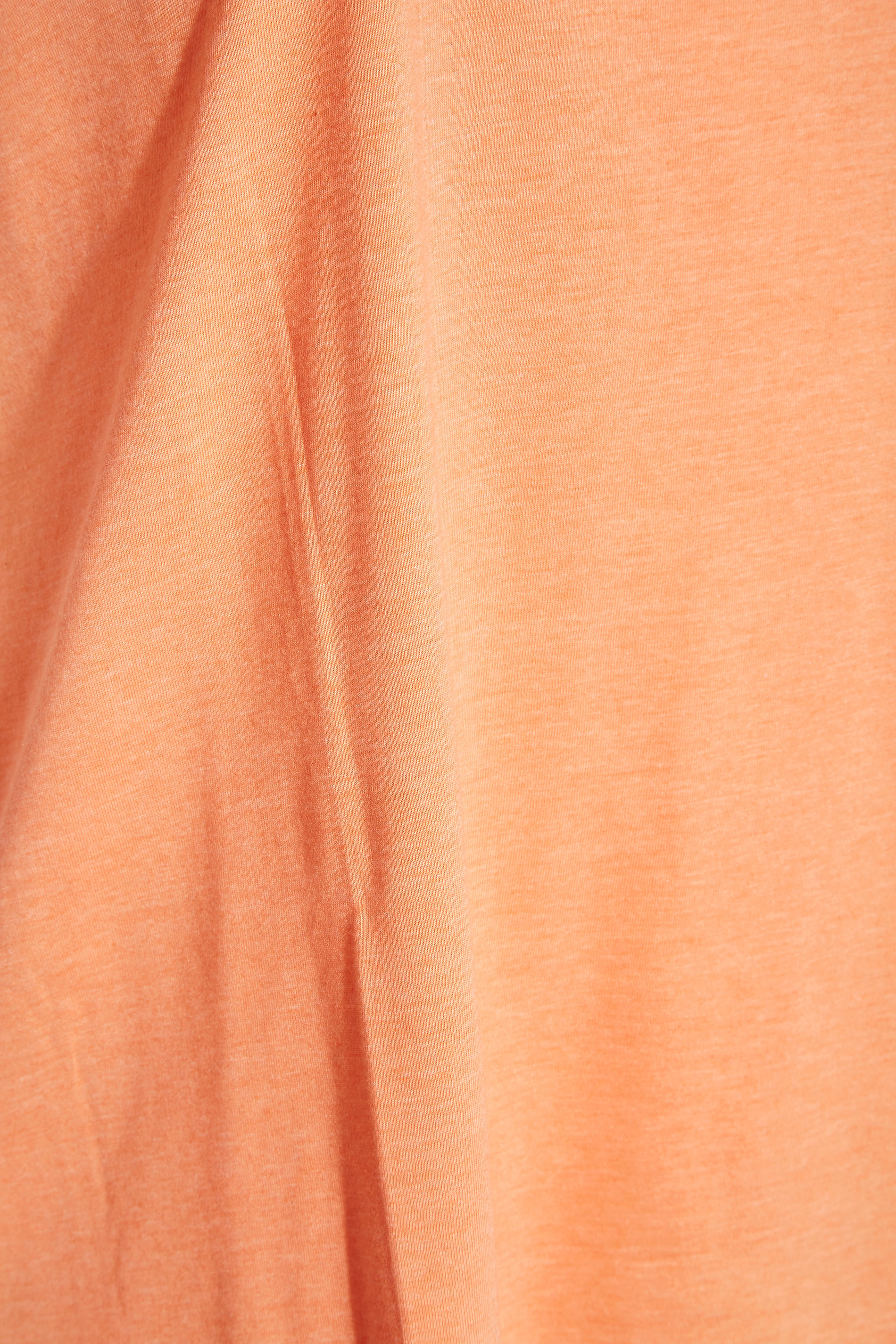 Grande taille  Tops Grande taille  T-Shirts Basiques & Débardeurs | T-Shirt Couleur Pêche en Jersey - PO78515
