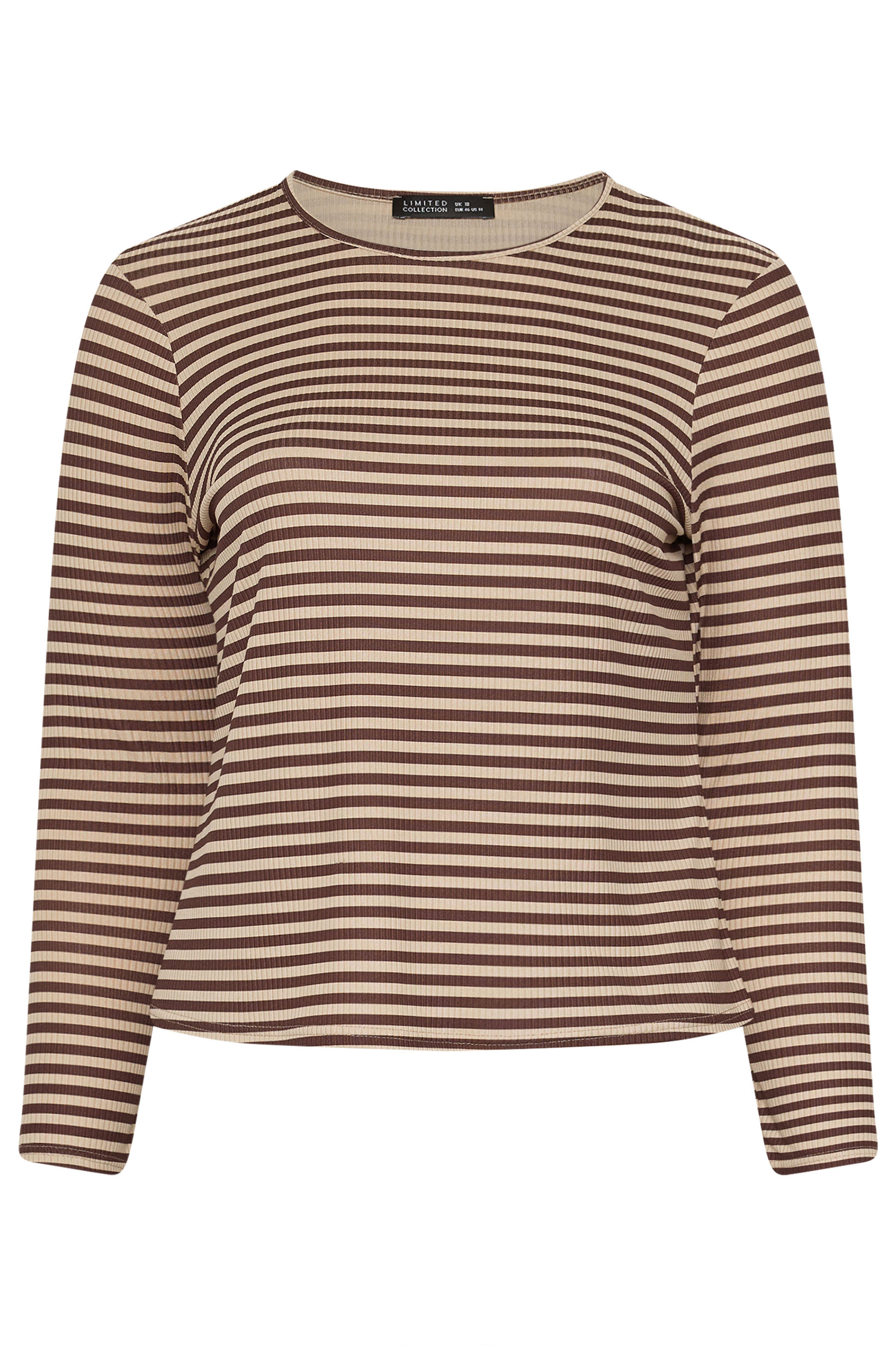 LIMITED COLLECTION Plus Size Chocolate Brown & Cream Stripe Top | Yours Clothing 5