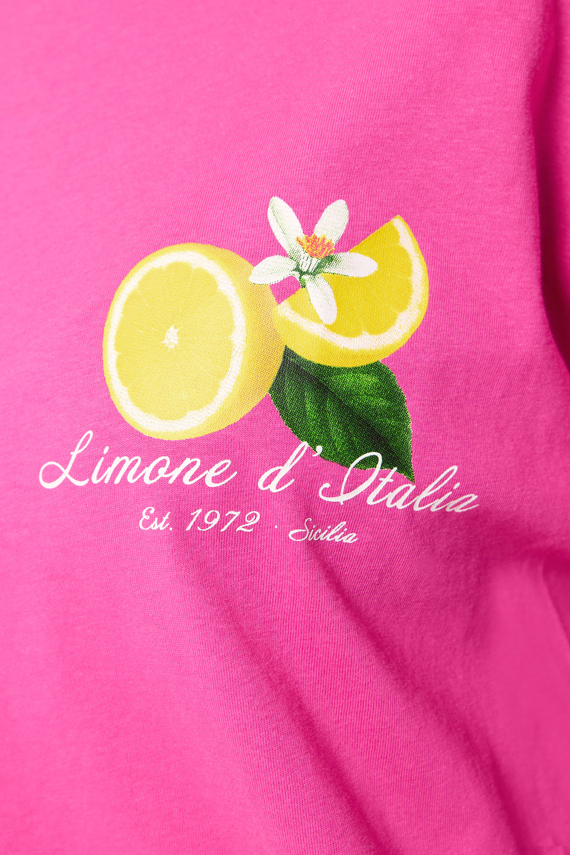 YOURS Plus Size Pink Lemon Back Print Graphic T-Shirt | Yours Clothing 4