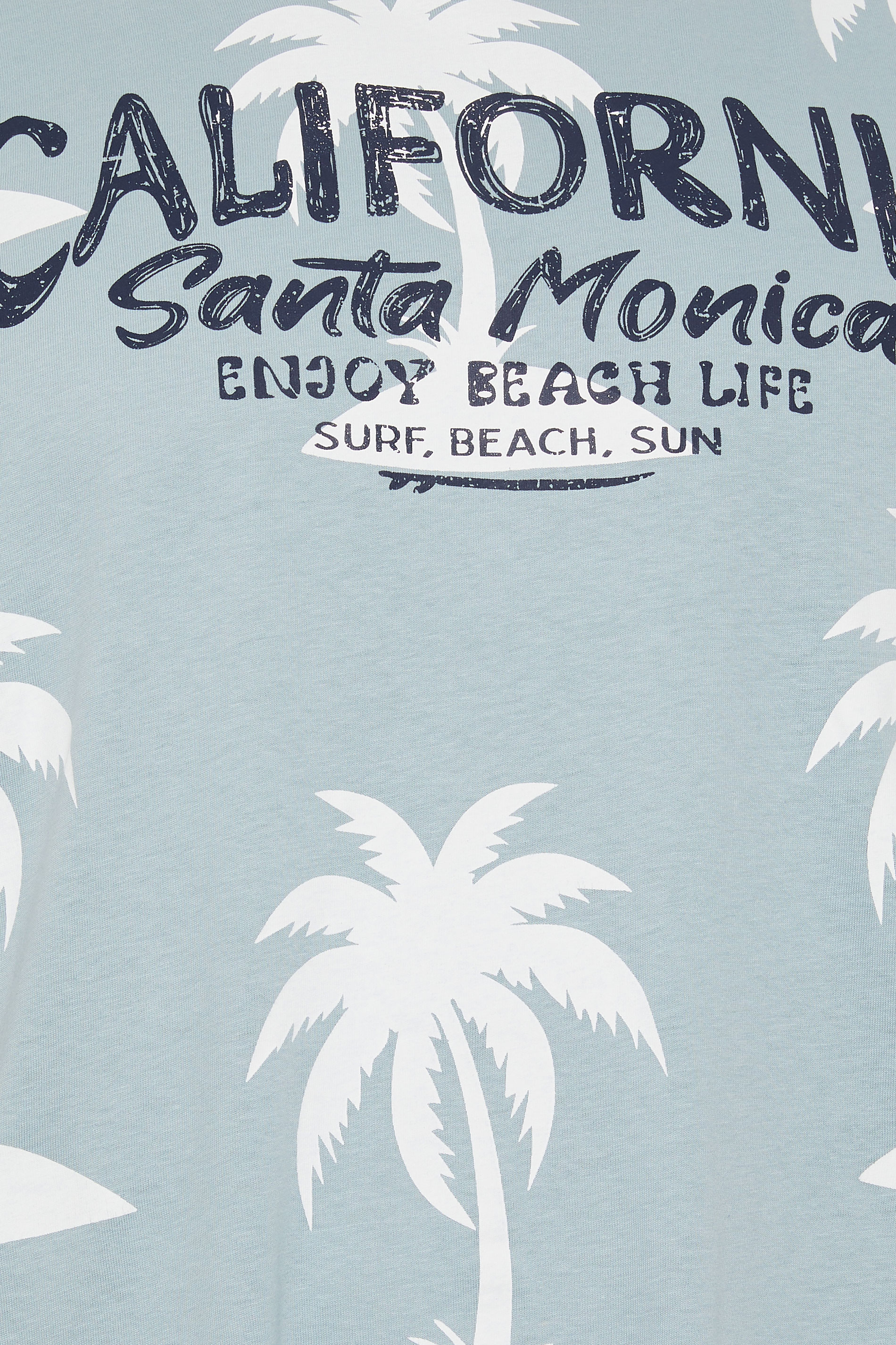 KAM Big & Tall Light Blue Palm Print T-Shirt | BadRhino 5