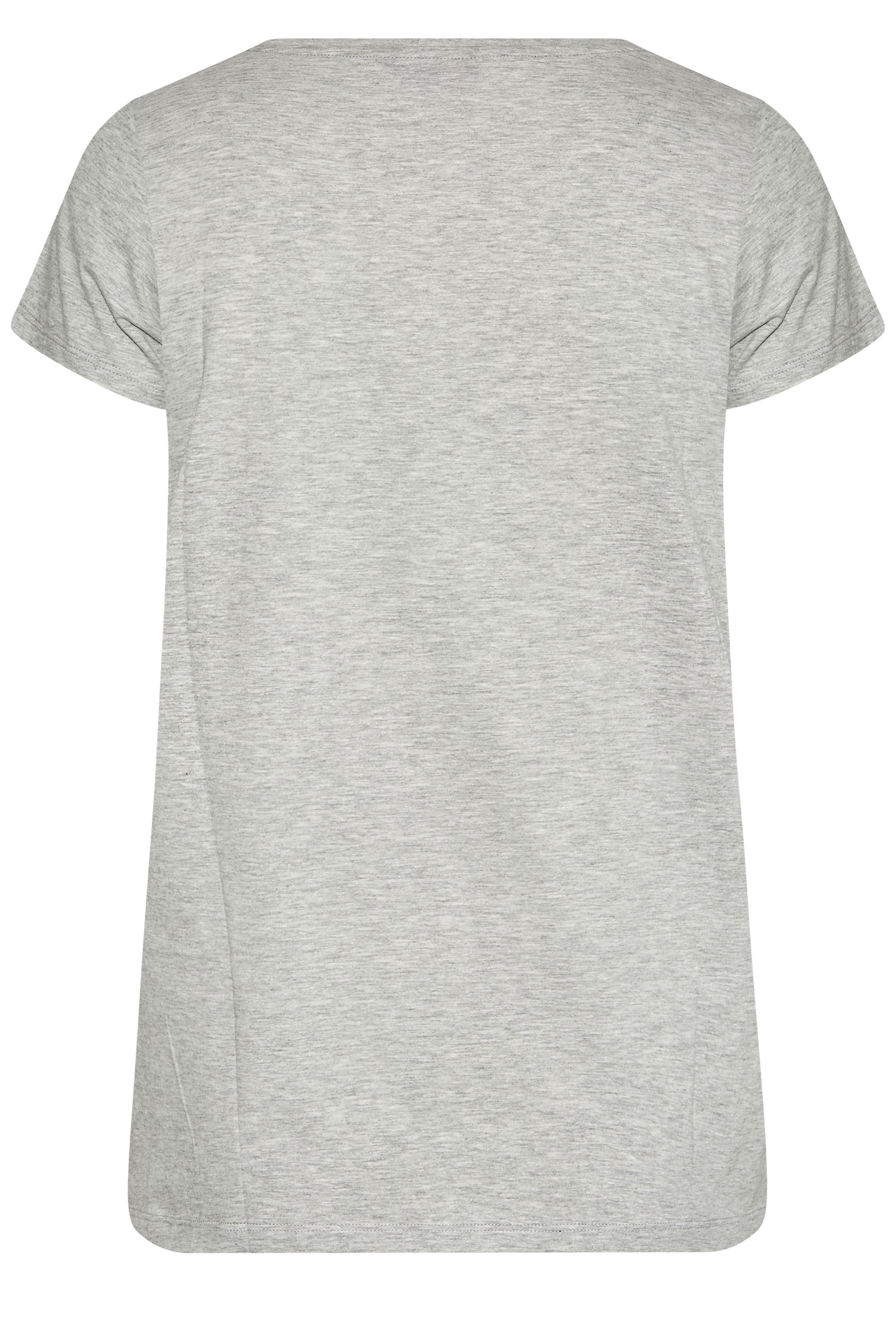Grande taille  Tops Grande taille  T-Shirts Basiques & Débardeurs | T-Shirt Gris Clair en Jersey - DZ02553
