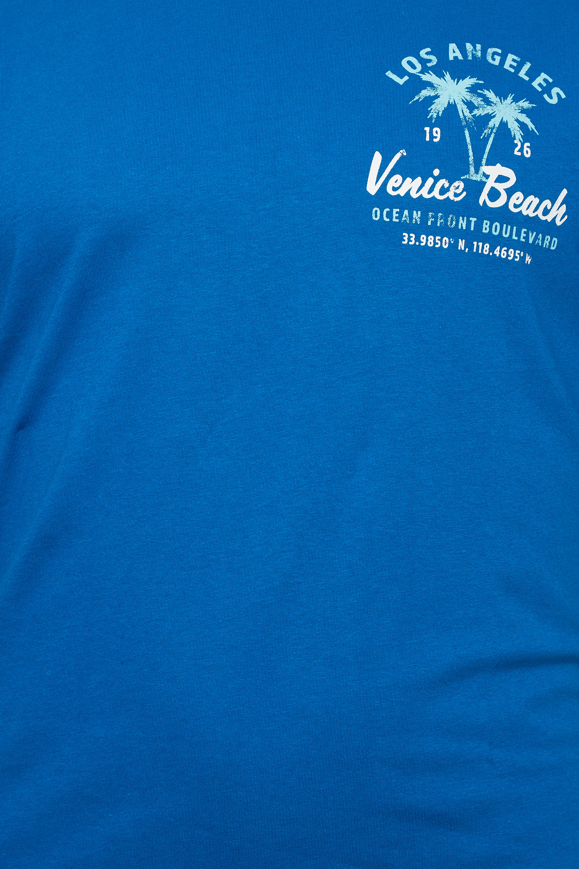 BadRhino Big & Tall Blue Venice Beach Print T-Shirt | BadRhino 3