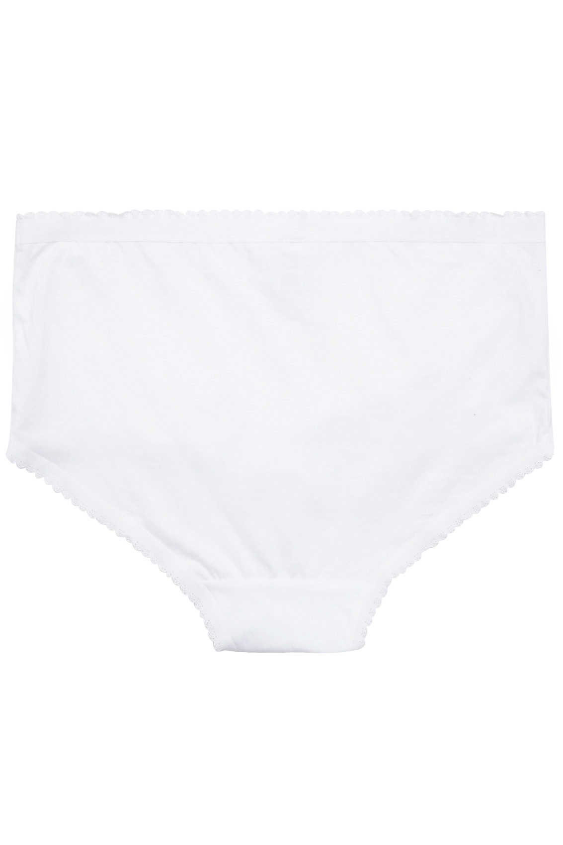 5 PACK Curve White Cotton High Waisted Full Briefs