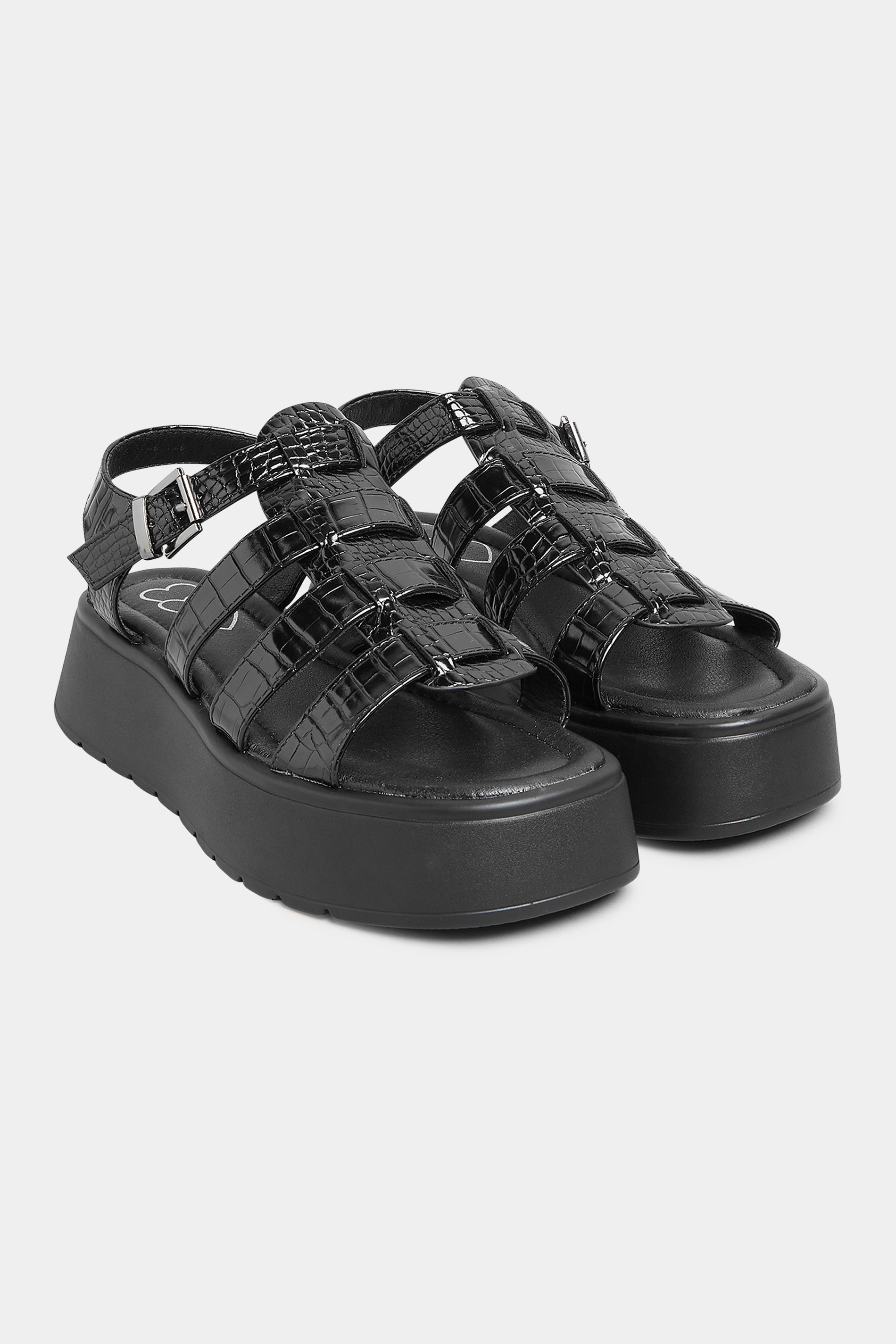 Grande taille  Shoes Grande taille  Sandals | PixieGirl Black Croc Gladiator Platform Sandals In Standard D Fit - XM21409