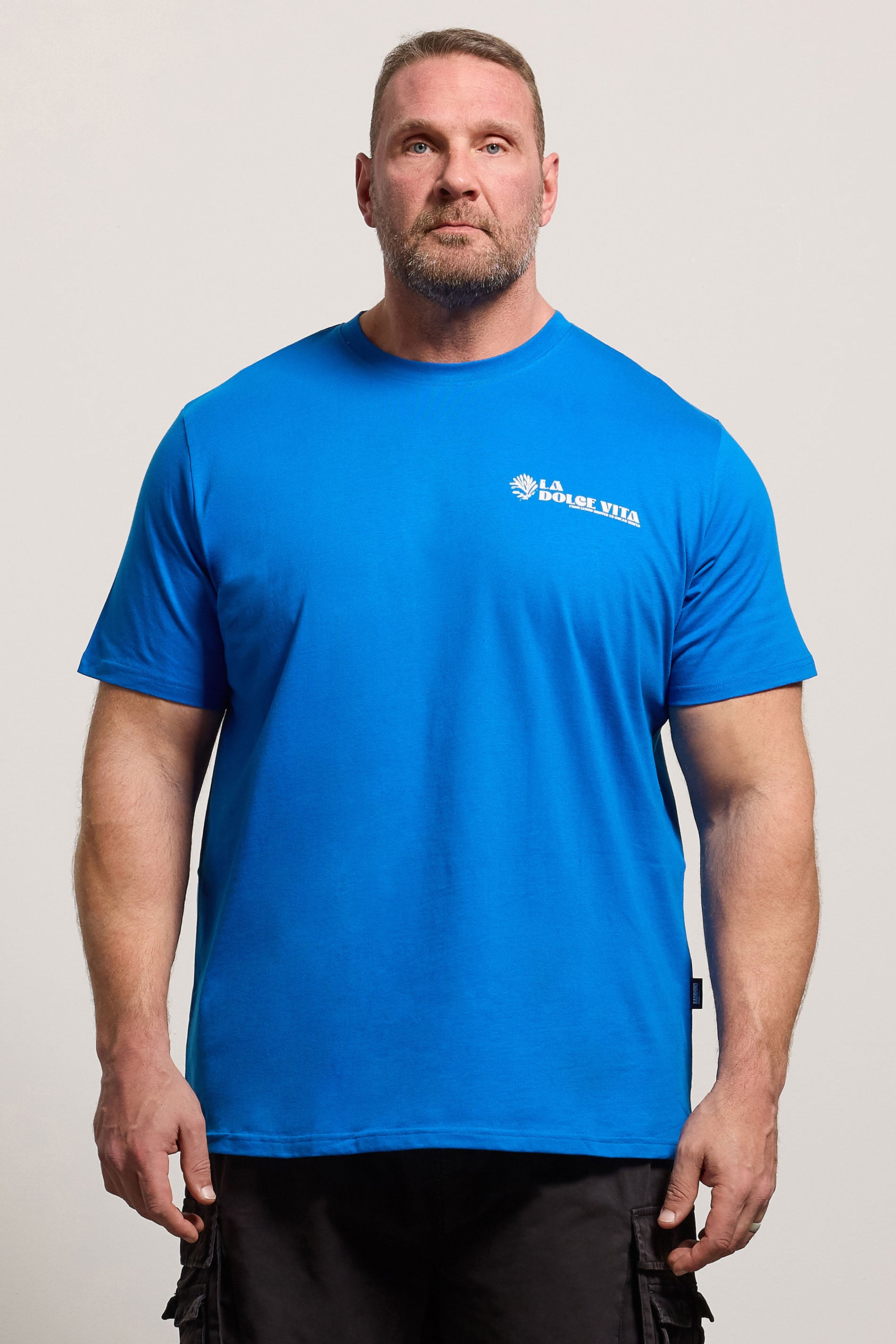 BadRhino Big & Tall Blue Amalfi Coast Graphic T-Shirt | BadRhino 4