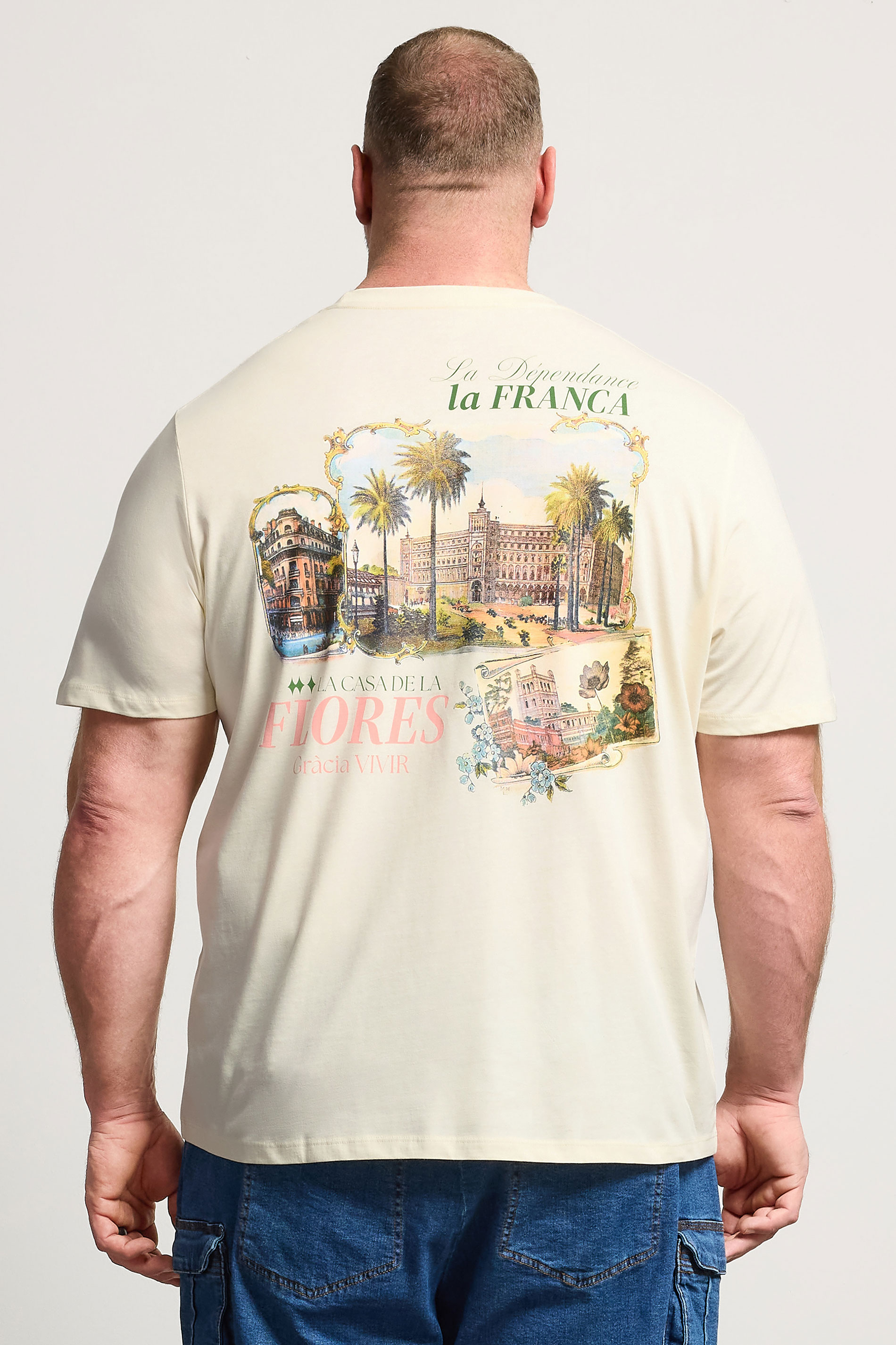 JACK & JONES Big & Tall Antique White Island Graphic T-Shirt | BadRhino 2