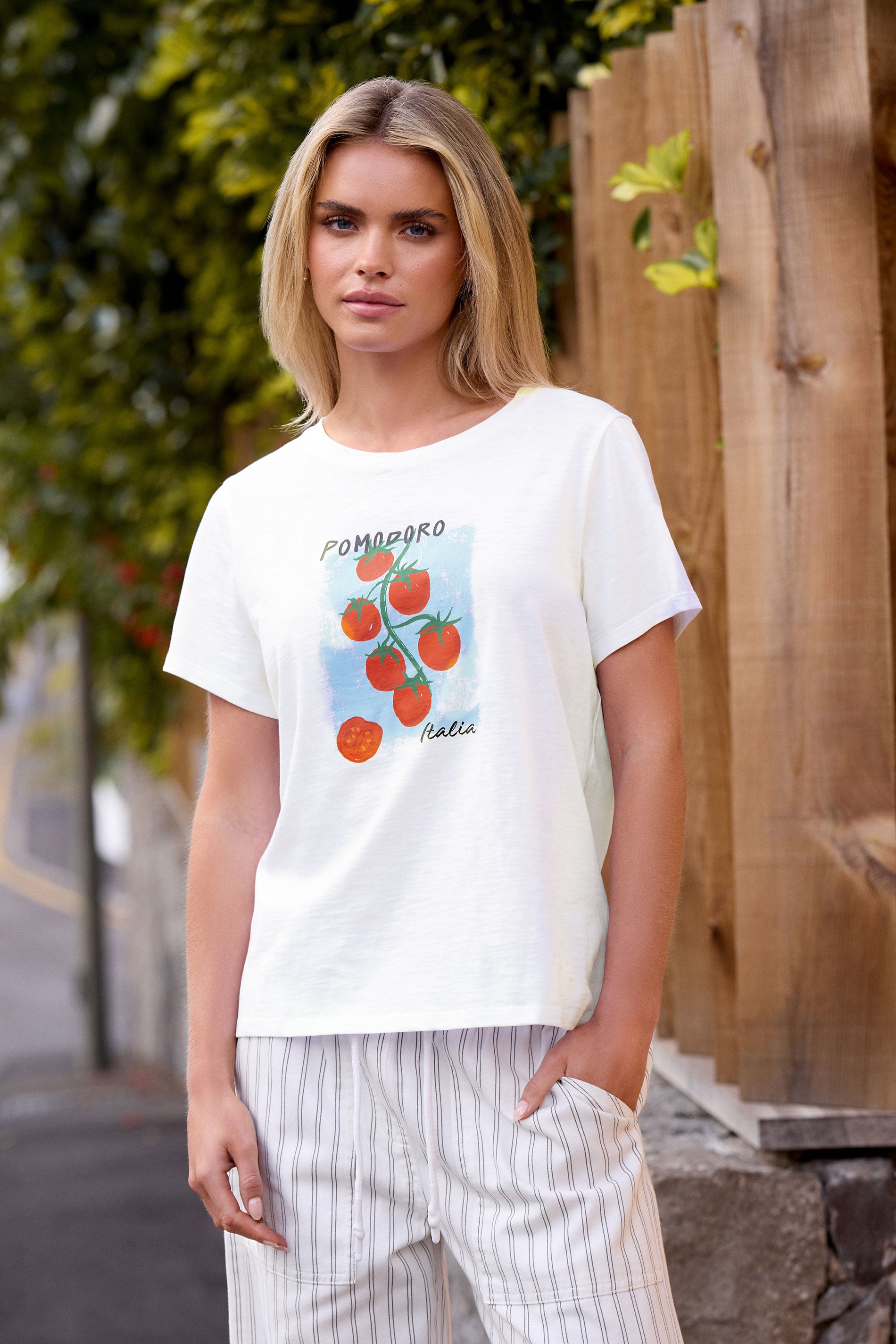 M&Co Petite White 'Pomodoro Italia' Graphic Print Cotton T-Shirt | M&Co 3