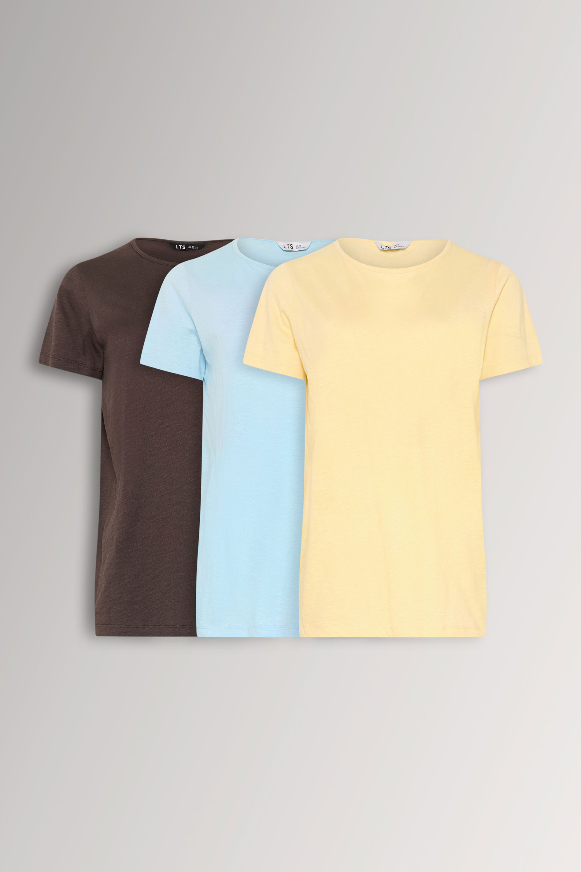 LTS Tall 3 PACK Women's Chocolate Brown & Light Blue Cotton V-Neck T-Shirts | Long Tall Sally 1
