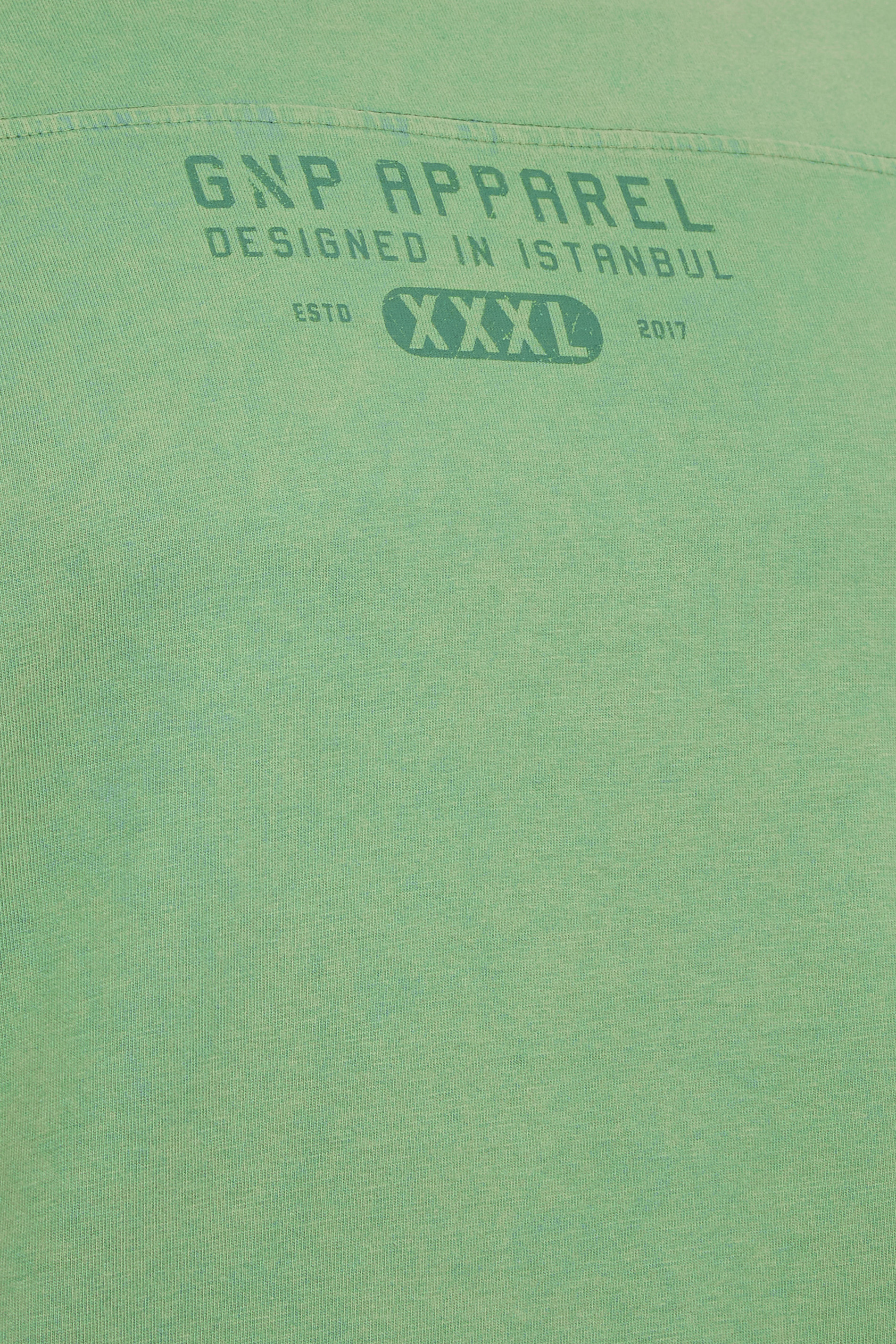 GNP Big & Tall Light Green Logo Oversized T-Shirt | BadRhino  2
