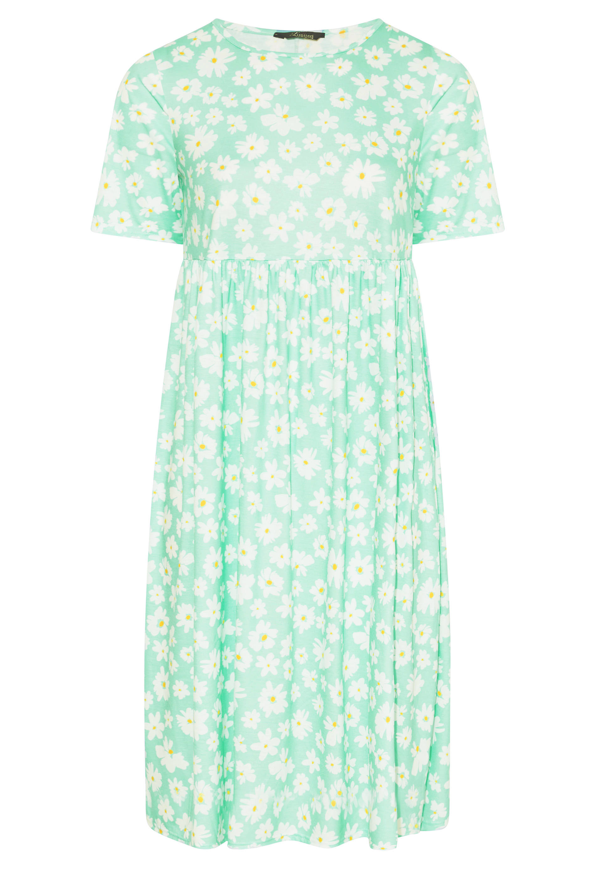 Robes Grande Taille Grande taille  Robes Smocké | LIMITED COLLECTION Curve Mint Green Floral Smock Dress - BC49458