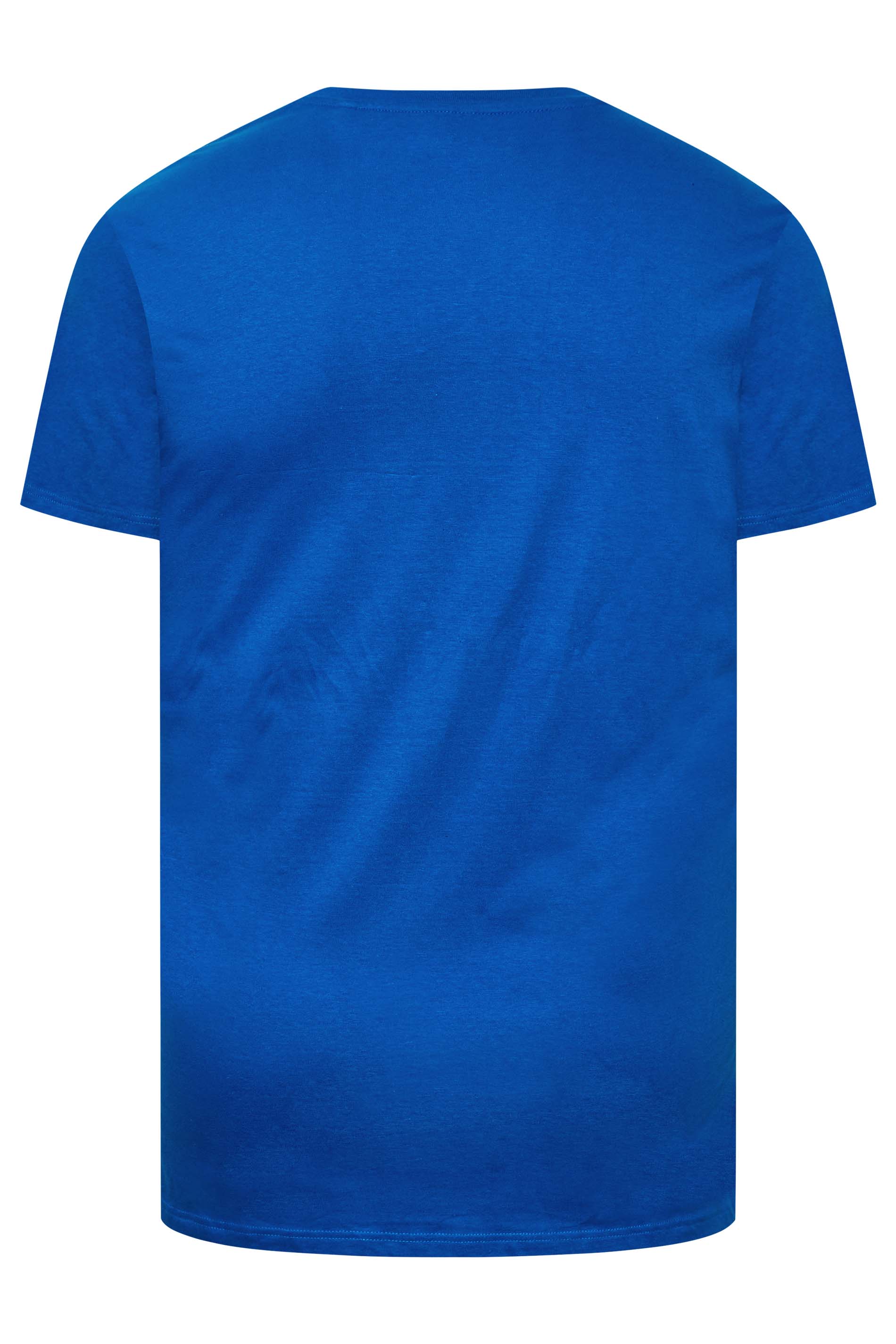 BadRhino Blue Graphic Sky Rider T-Shirt | BadRhino 3