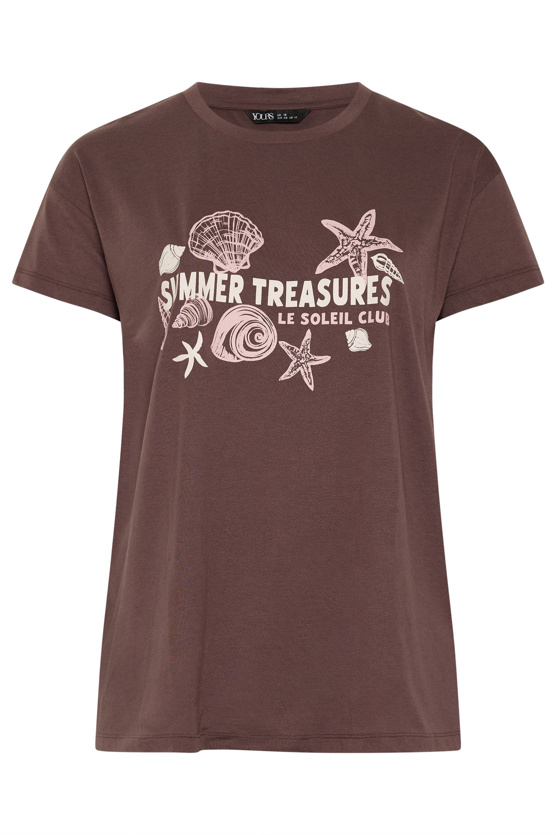 YOURS Plus Size Chocolate Brown 'Summer Treasures' Slogan T-Shirt | Yours Clothing 5