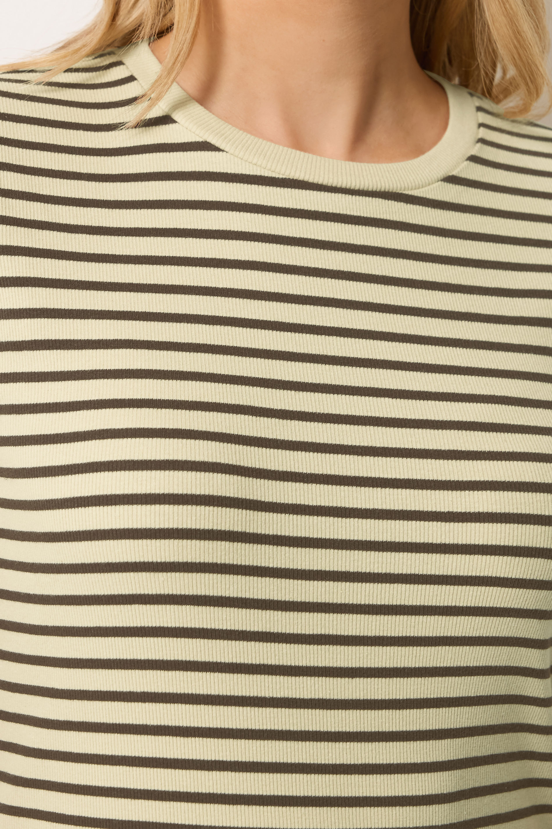 LTS Tall Women's Chocolate Brown Stripe Cotton Ribbed T-Shirt | Long Tall Sally 4